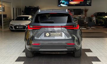 Lexus NX 350h - 8