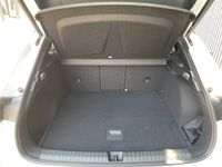Cupra Terramar - Vorschau Bild 12