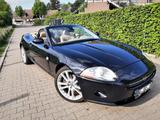 Jaguar XK 4.2L V8 Cabriolet -*MEMORY*LEDER*NAVI*TÜV  - Jaguar XK aus 2007