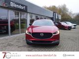 Mazda CX-30 Homura 140 Automatik Navi|Alexa|LED - Mazda CX-30 in Bochum
