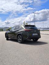 Lexus UX 250h - Lexus Gebrauchtwagen von 2022