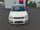 Fiat Panda 1.2 8V  Tüv bis 06.2028, nur 65000 km - Fiat Panda: Kombi
