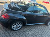 Volkswagen Beetle Cabriolet Design BMT/Start-Stopp - Volkswagen Beetle: Sitzheizung, Cabrio