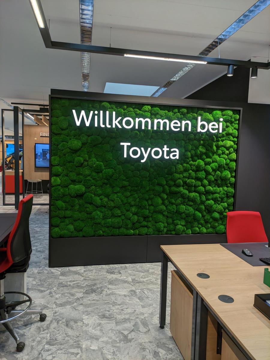 showroom-image-main