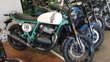 Royal Enfield Bear 650 - Royal Enfield Bear 650