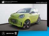 Smart EQ fortwo passion Exclusive RfKam Pano SHZ LED - Smart ForTwo: Grün