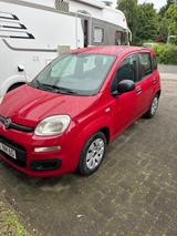 Fiat New Panda 1.2 8V - Super Stadtauto  - Fiat in Bremen