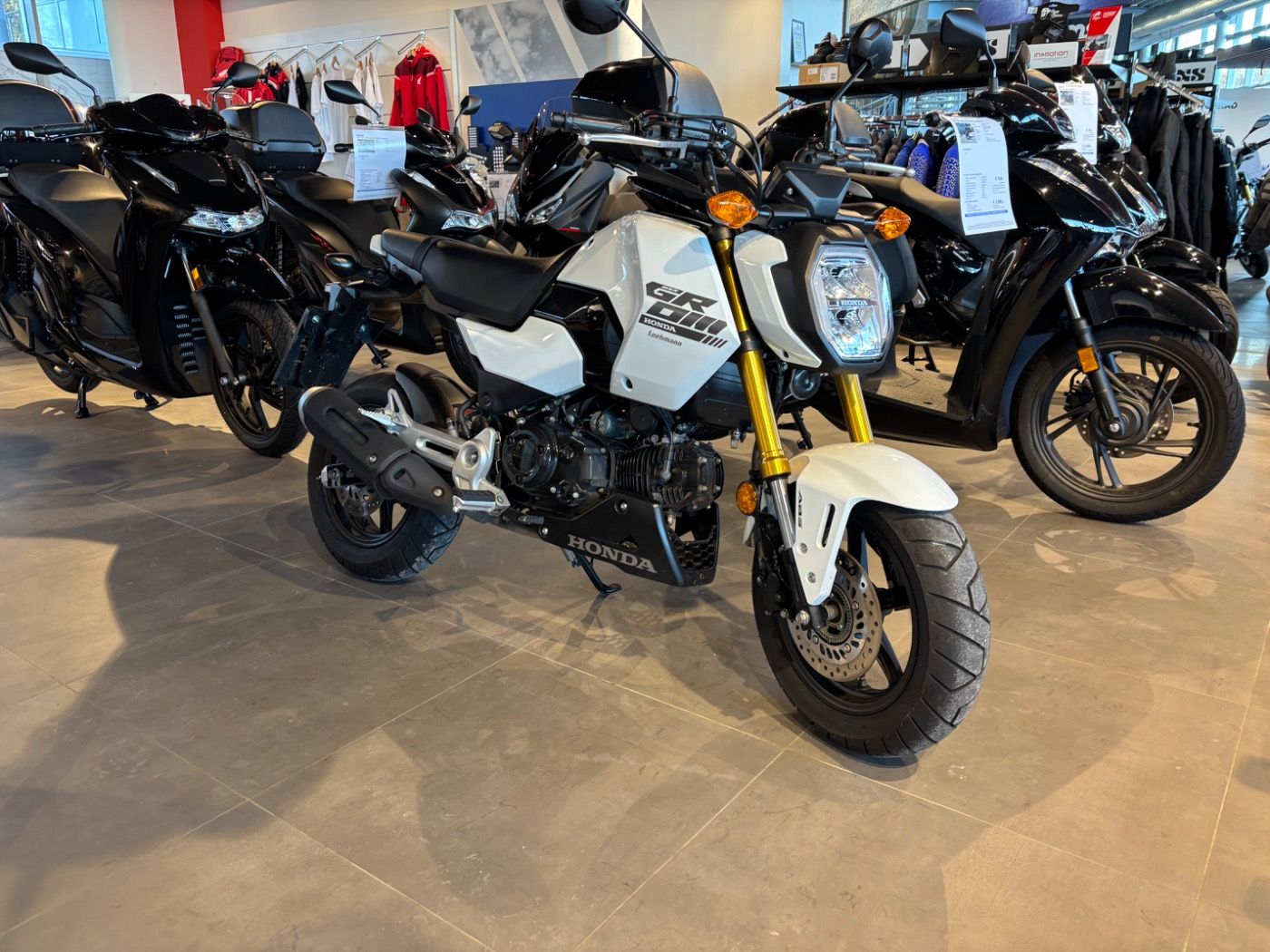 Fahrzeugabbildung Honda MSX 125 Grom 2025