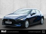 Mazda 3 Selection SKYACTIV-G 2.0 M-Hybrid EU6d-T HUD N - Mazda 3: 6.2