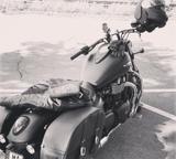 Triumph Thunderbird Storm matt schwarz - TRIUMPH THUNDERBIRD STORM