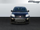 Fiat Panda 1.0 Pandina - gebrauchte Fiat Panda aus dem Jahr 2024