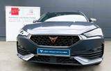 Cupra Leon Sportstourer 1.5 eTSI 110 kW (150 PS) 7-Gan - Cupra Leon Tageszulassungen