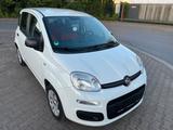 Fiat Panda 312 1.2L 69 PS 1.Hand 5 Sitzer ... - Fiat Panda: Sitzer