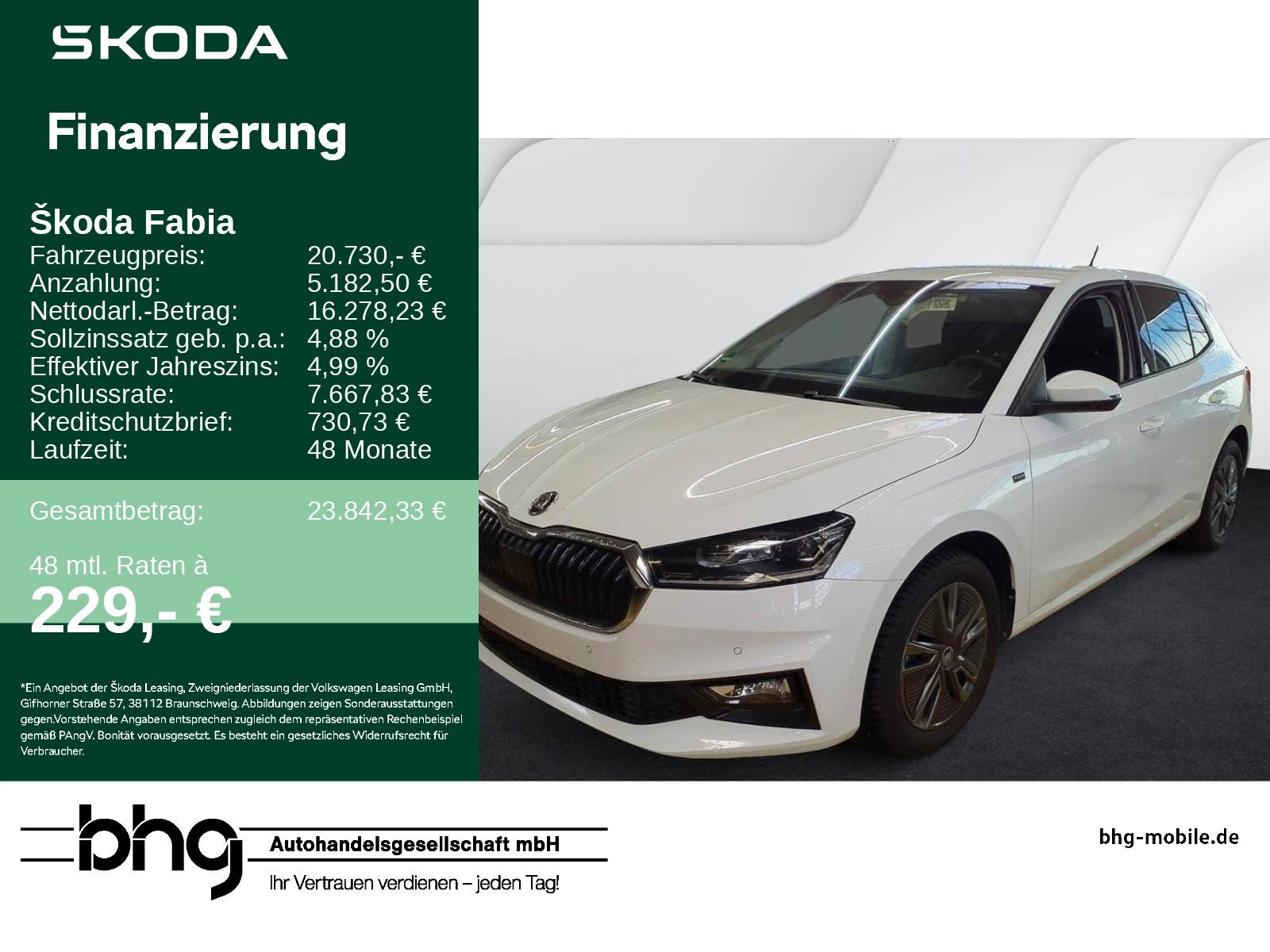 Skoda Fabia Tour