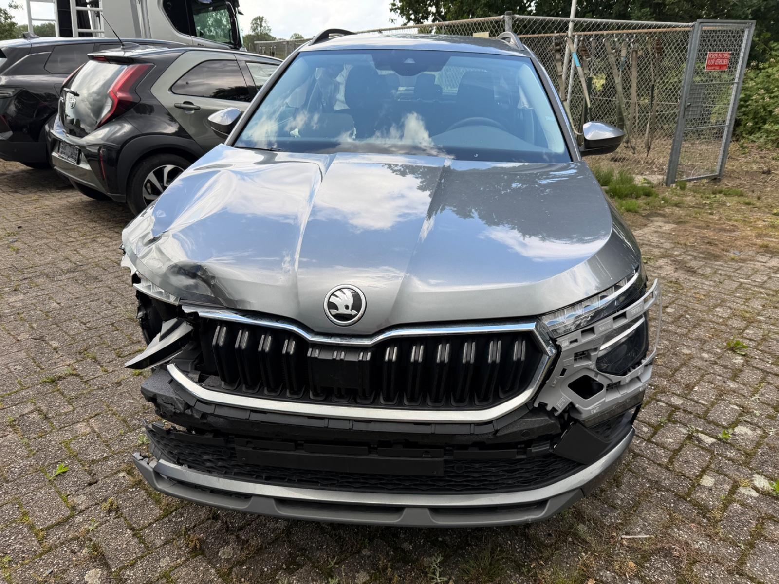 Skoda Kamiq Selection