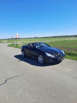 Mercedes-Benz SLK 200 KOMPRESSOR - 171