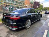 Audi A8 50 TDI quattro tiptronic - - Audi A8: TDI
