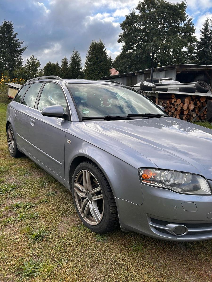 Audi A4 2006 — photo 6