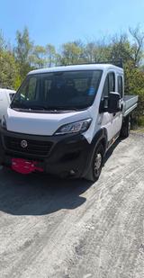 Fiat Ducato Pritsche Doppelkabine  - EZ2019 - Fiat Ducato: Doppelkabine