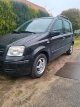 Fiat Panda 1.2 benzine . 2008 - Fiat Panda Gebrauchtwagen in Bremen