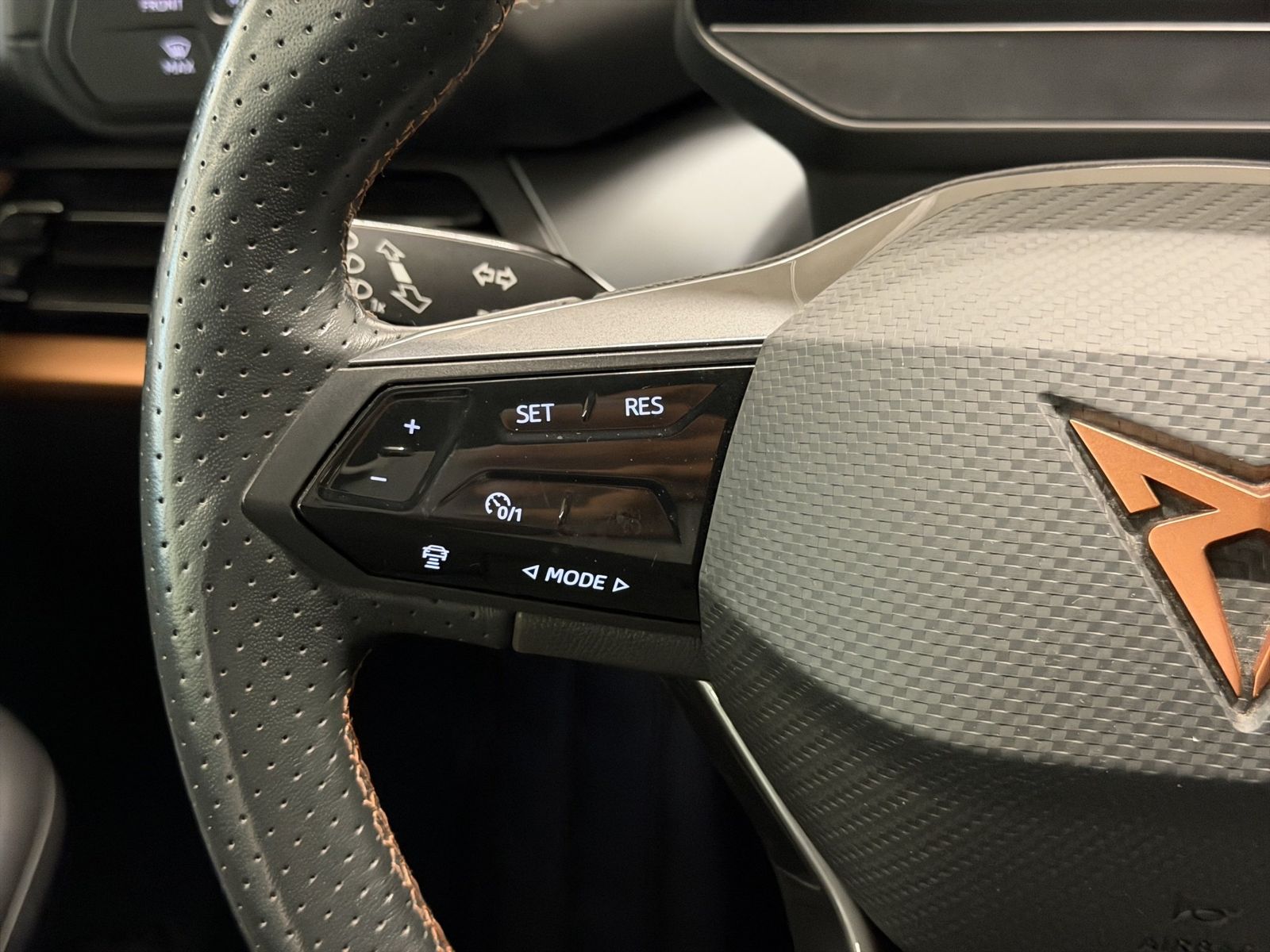 Cupra Born - Bild 19