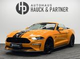 Ford Mustang GT 5.0 Convertible*Carbon*MagneRide*B&O* - Ford Mustang in Köln