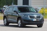 Skoda Kodiaq 2.0 TSI DSG 4x4 Style Style, Stndhzg, AHK - graue Skoda Kodiaq