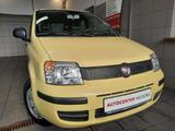 Fiat Panda 1.1 8V Active Nodell 2010 - Fiat Panda Active mit Benzin-Antrieb