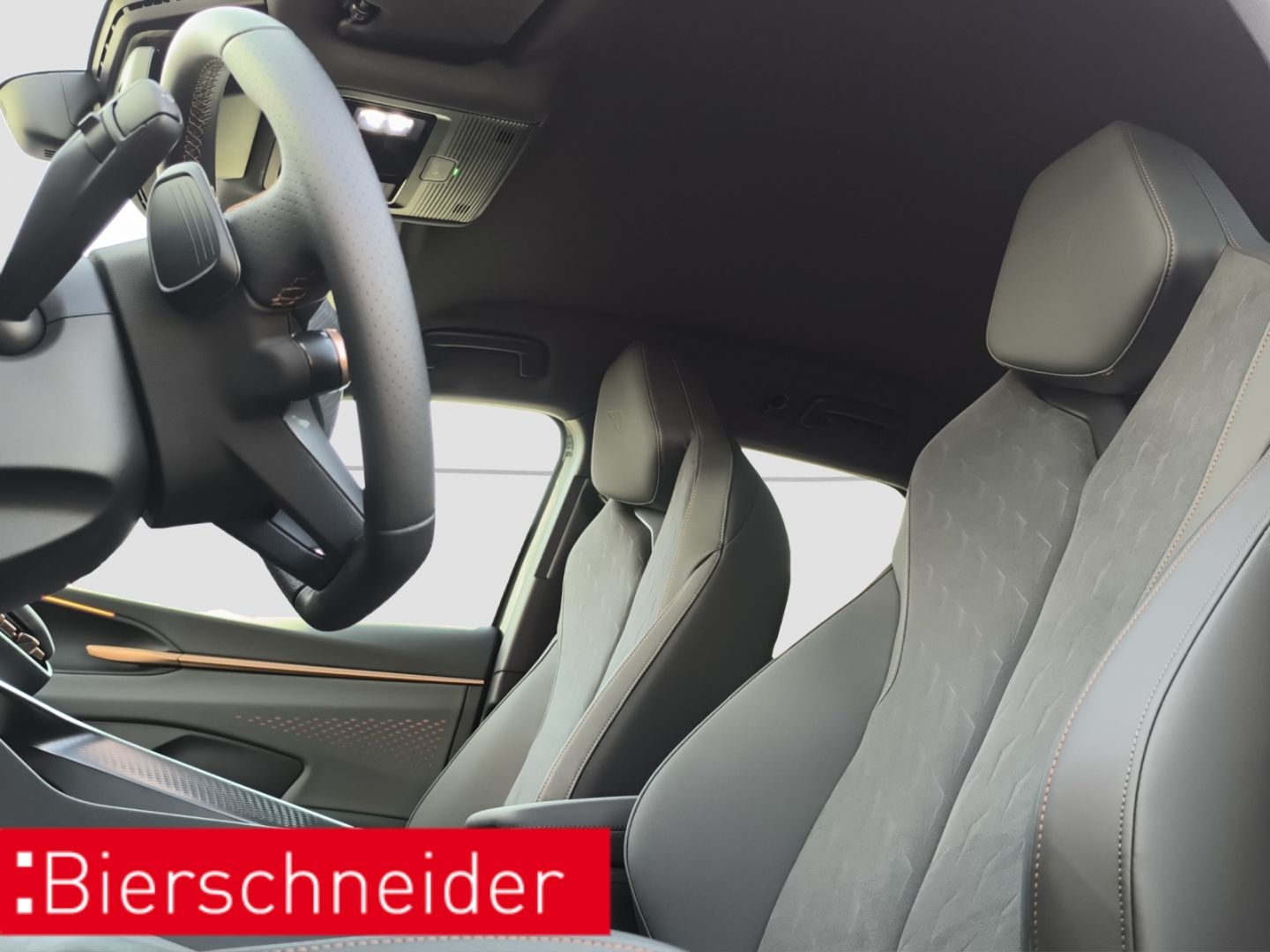 Cupra Terramar - Bild 24