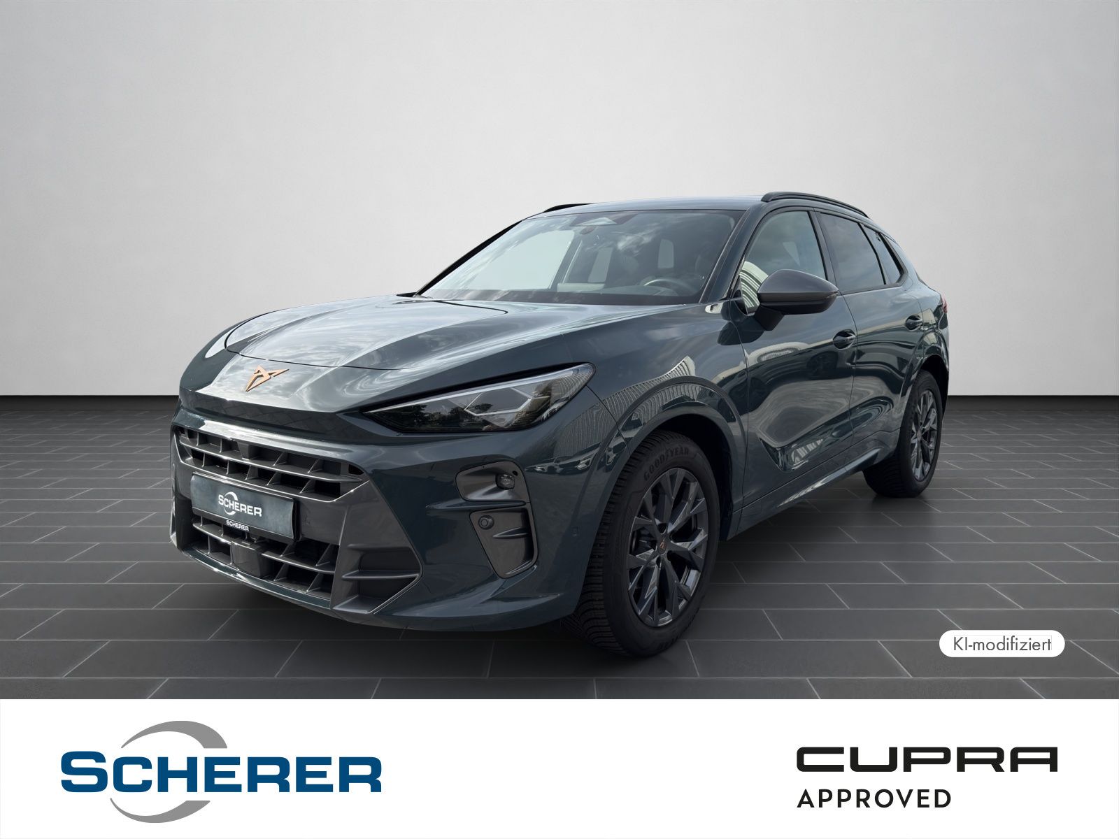 Cupra Terramar 1.5 eTSI DSG 5J-Garantie Sennheiser Mat
