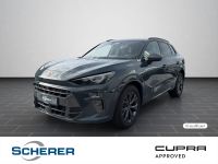 Cupra Terramar - Vorschau Bild 1