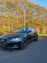 Audi A3 1.6 Attraction Cabriolet Attraction - Audi A3: Cabrio, 1.6