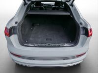 Audi e-tron - Vorschau Bild 12
