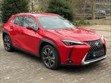 Lexus UX 250h Luxury Line AWD HUD Leder Mark Levinson - Lexus aus 2021