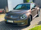 Volkswagen Beetle 1.2 TSI BMT - - VW Beetle von privat