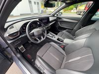 Cupra 