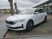 Skoda Octavia - Vorschau Bild 14