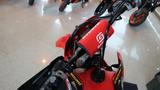 Gasgas EC 300 GP 2025 * AKTIONSPREI* - GASGAS NEU