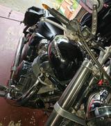 Triumph SPEEDMASTER - TRIUMPH SPEEDMASTER