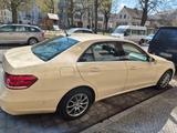 Mercedes-Benz E 200 d Autom. - - Mercedes-Benz E 200: Taxi
