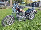 Yamaha XV 750 Virago - Offers matching your search criteria