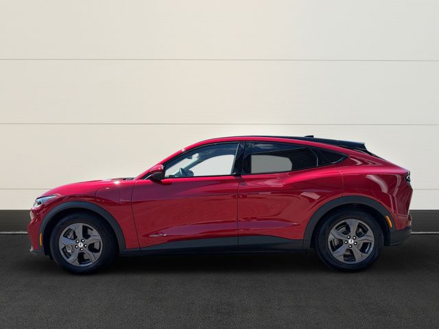 Ford Mustang MACH-E RWD+Technologie-Pkt. 2