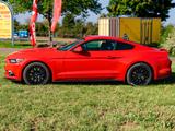 Ford Mustang GT - gebrauchte Ford Mustang aus dem Jahr 2016