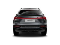 Audi Q8 - Vorschau Bild 7