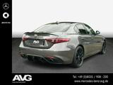 Alfa Romeo Giulia 2.0 Turbo Bi-Xenon RFK PSD Harman-Kardon - Alfa Romeo Giulia: Limousine
