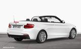 BMW 220i Cabrio M Sport NaviBusiness PDC Lordosenstü - BMW 220 mit Benzin-Antrieb: Cabrio