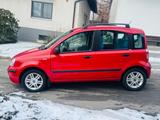 Fiat Panda 1.2 8V Dynamic - gebrauchte Fiat Panda aus dem Jahr 2005