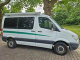 Mercedes-Benz Sprinter CDI 316 Camper/ Transporter/ 8 Pe... - Mercedes-Benz Transporter