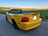 Ford Mustang 3,8L Motor Cabrio (Automatik)... - Ford Mustang: Motor