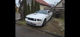 Ford Mustang 45 anniversary Edition  - Ford Mustang: Edition